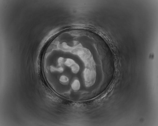 X0000100330343200806191113