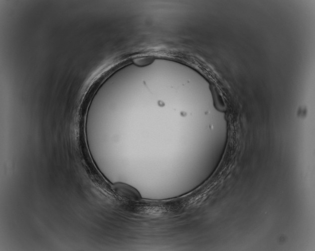 X0000100330344200806191113