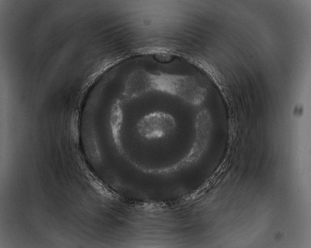 X0000100330345200806191113