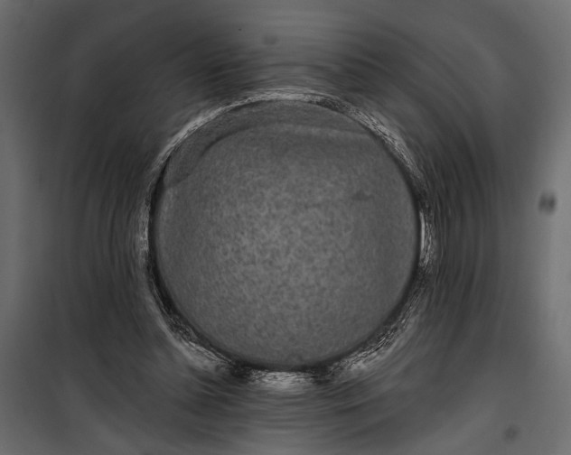 X0000100330348200806191113