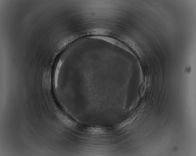 X0000100330349200806191113