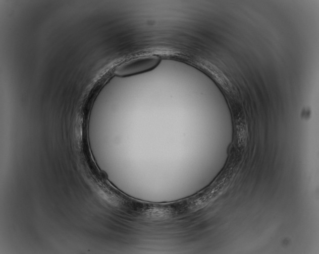 X0000100330350200806191113