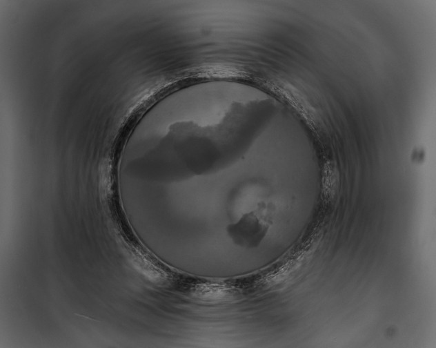 X0000100330351200806191113