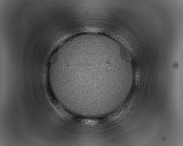 X0000100330352200806191113