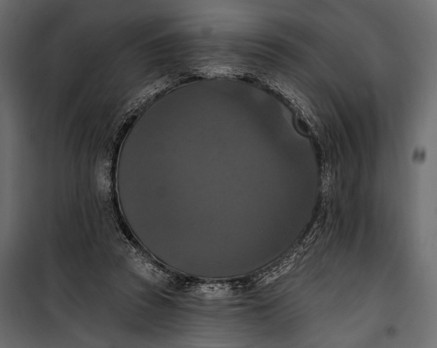 X0000100330353200806191113