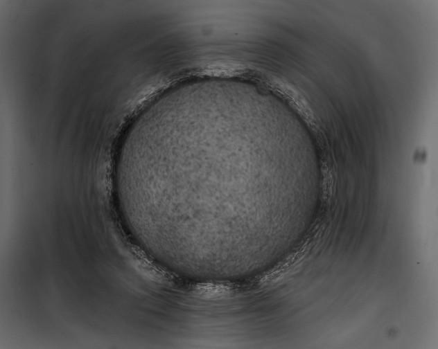 X0000100330354200806191113