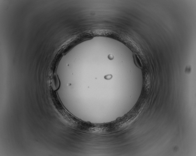 X0000100330356200806191113