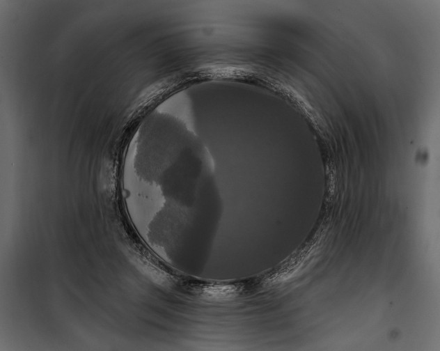 X0000100330357200806191113