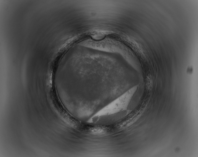 X0000100330358200806191113