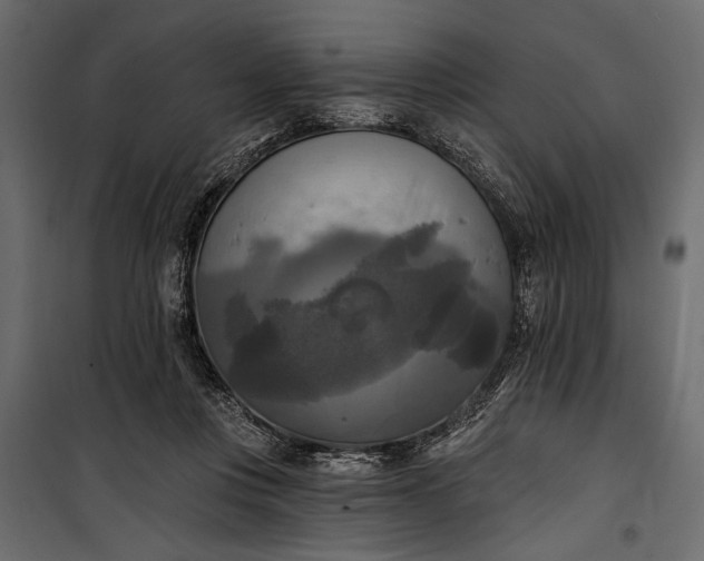 X0000100330359200806191113