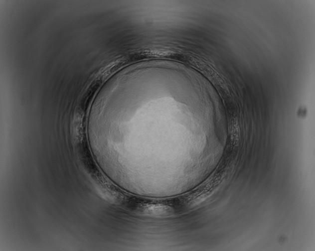 X0000100330360200806191113