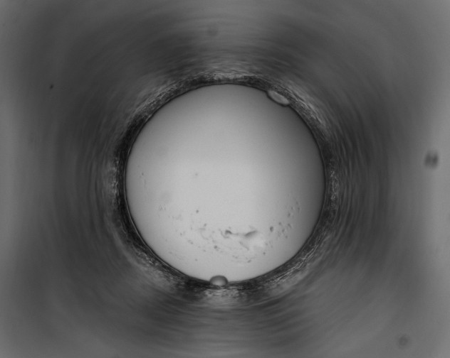 X0000100330362200806191113