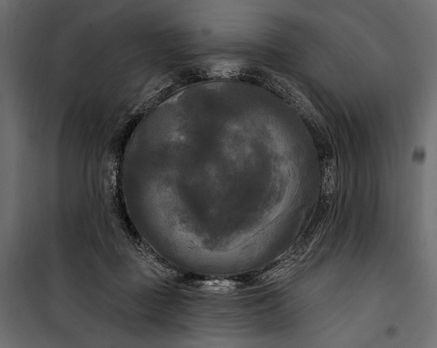 X0000100330363200806191113