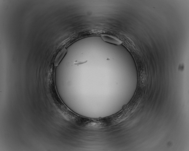 X0000100330364200806191113