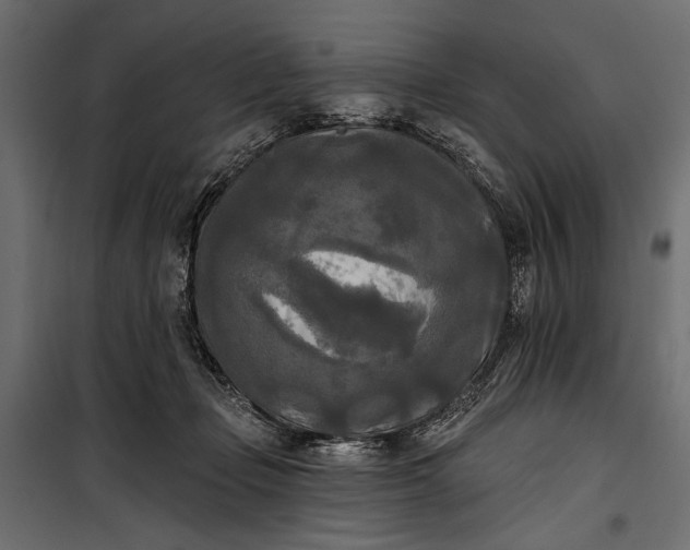 X0000100330365200806191113