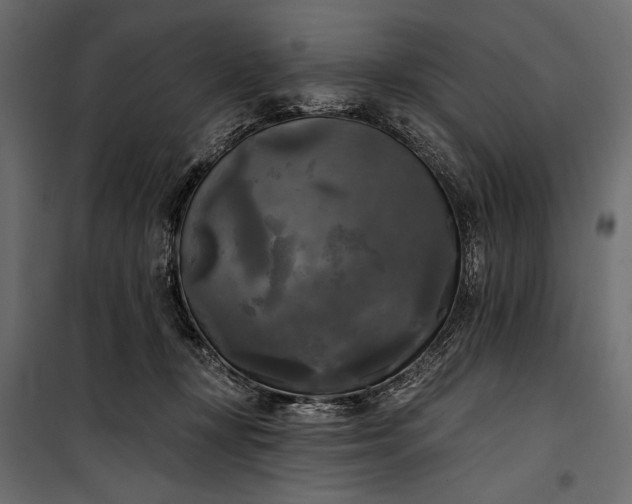 X0000100330367200806191113