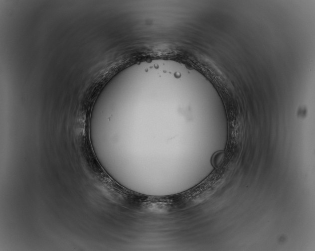 X0000100330368200806191113