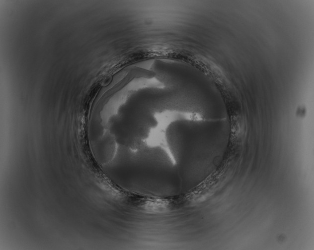 X0000100330369200806191113