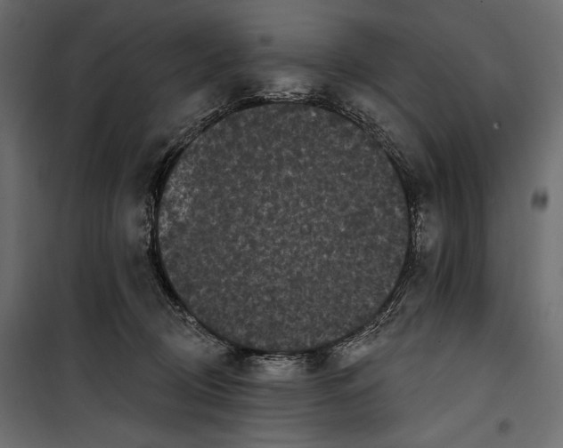 X0000100330370200806191113