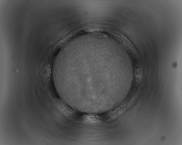 X0000100330372200806191113