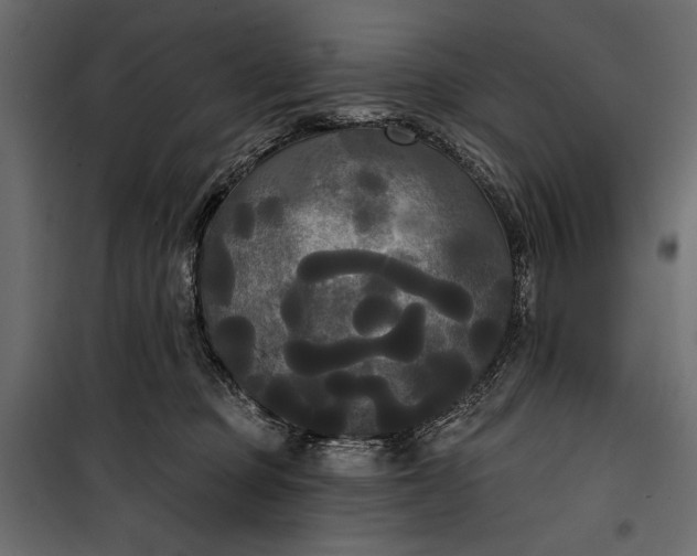 X0000100330373200806191113