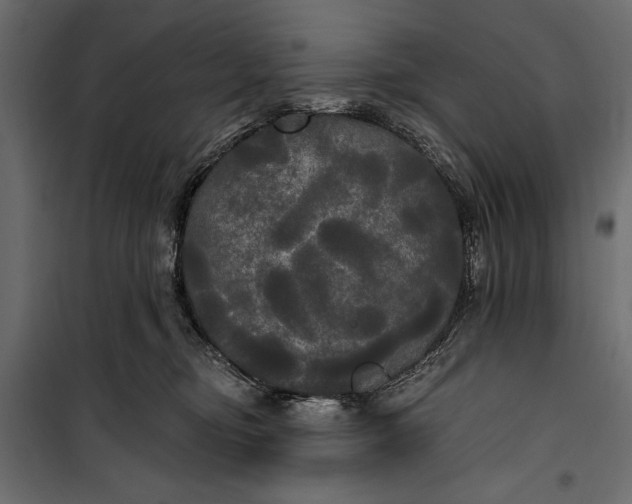 X0000100330374200806191113