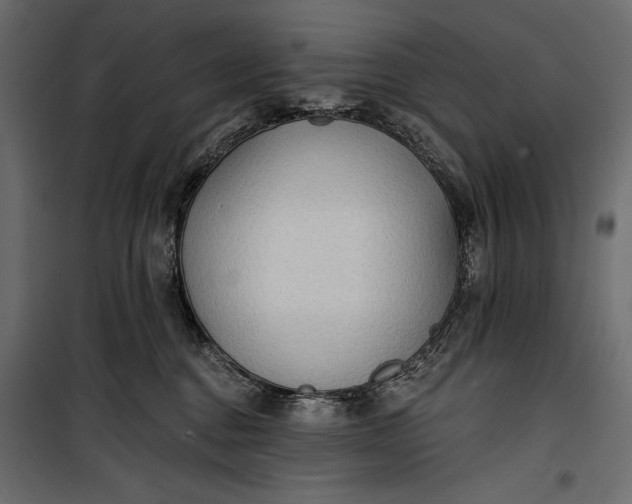 X0000100330376200806191114