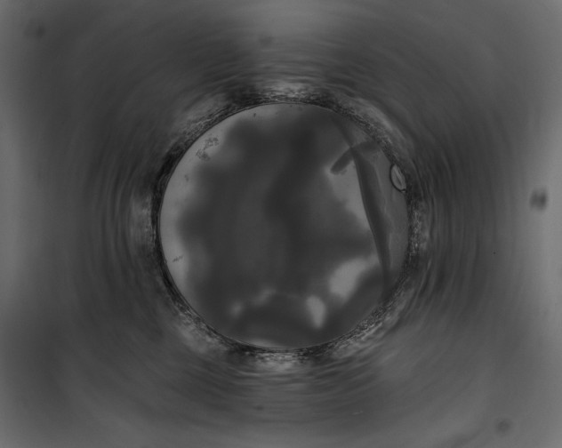 X0000100330377200806191114