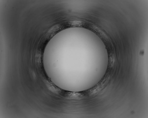 X0000100330379200806191114