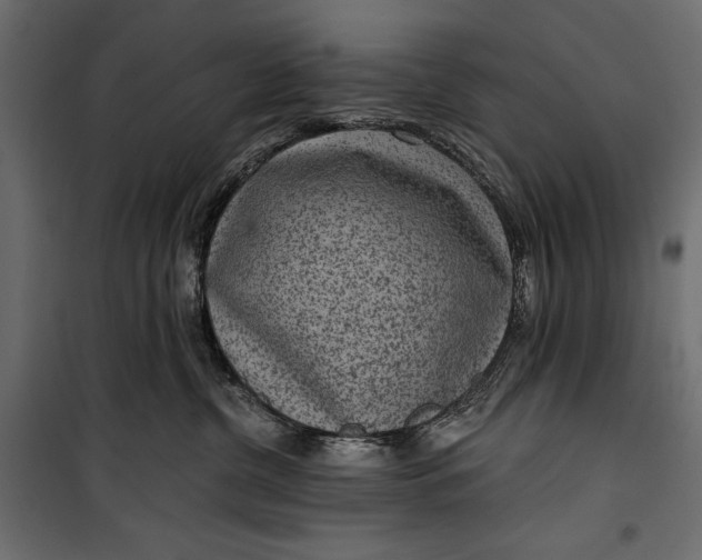 X0000100330380200806191114