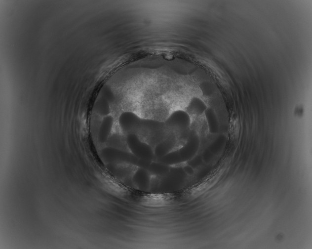 X0000100330381200806191114