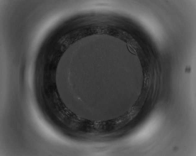 X0000100330383200806191114