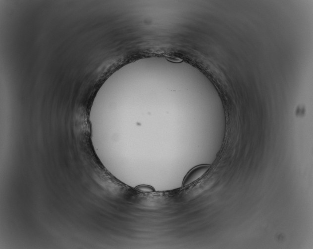 X0000100330384200806191114