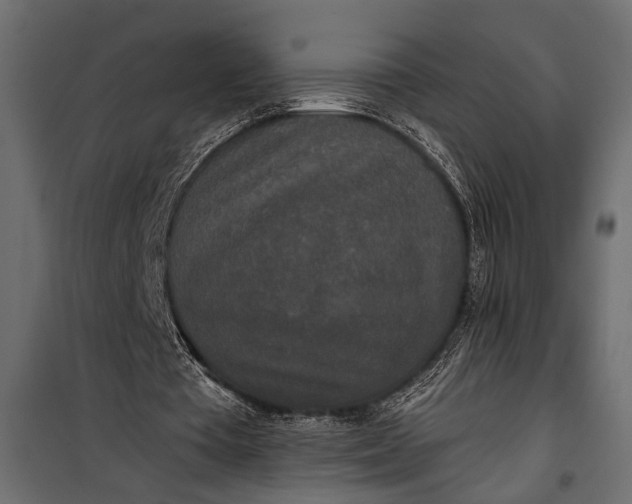 X0000100330385200806191113