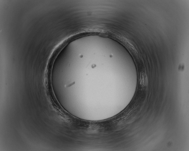 X0000100330388200806191113