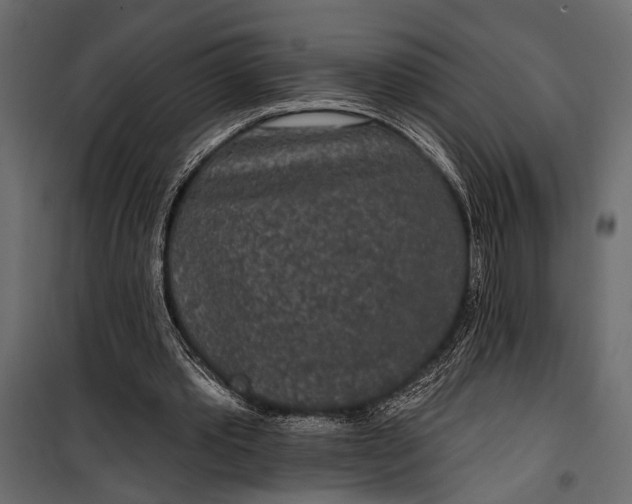 X0000100330389200806191113