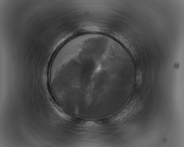 X0000100330390200806191113