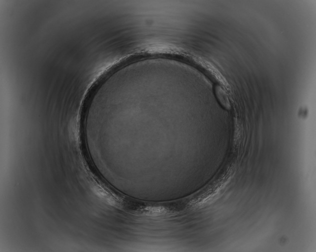 X0000100330391200806191113