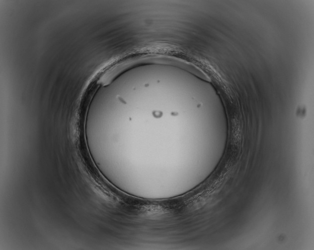 X0000100330392200806191113