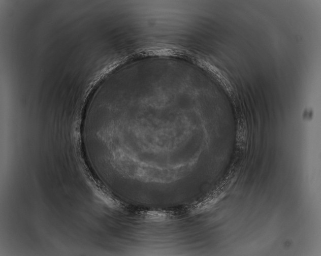 X0000100330394200806191113