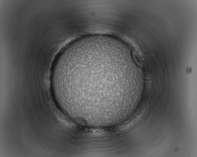 X0000100330395200806191113