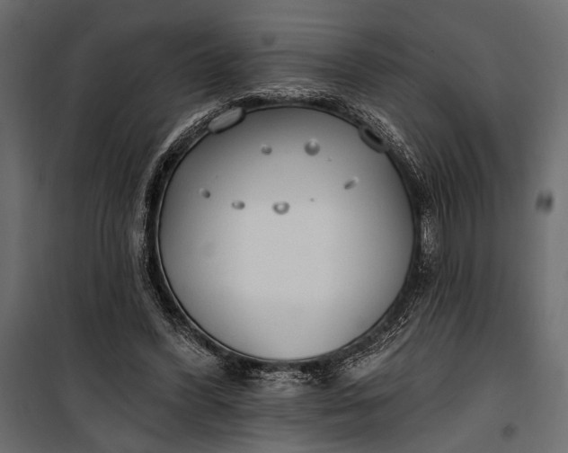 X0000100330396200806191113