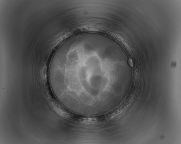 X0000100330398200806191113