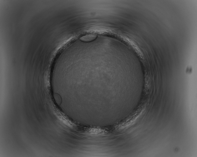 X0000100330399200806191113