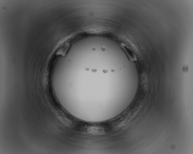 X0000100330400200806191113