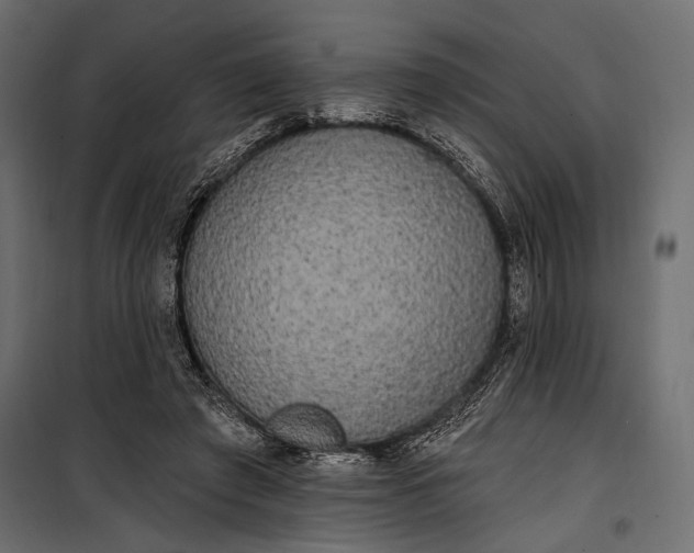 X0000100330401200806191113