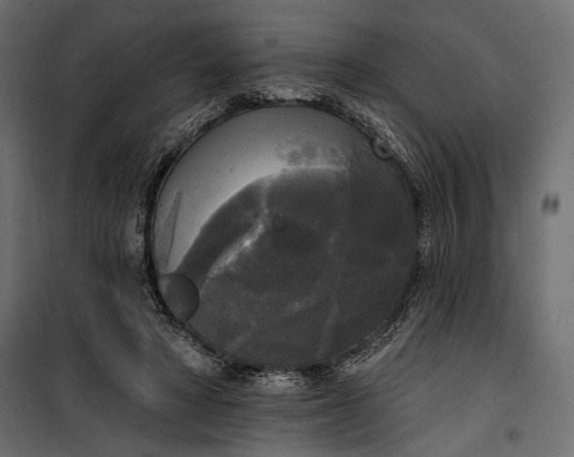 X0000100330402200806191113