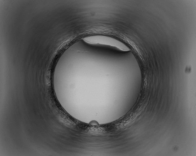 X0000100330403200806191113