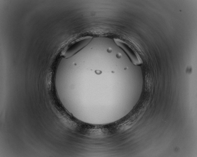 X0000100330404200806191113