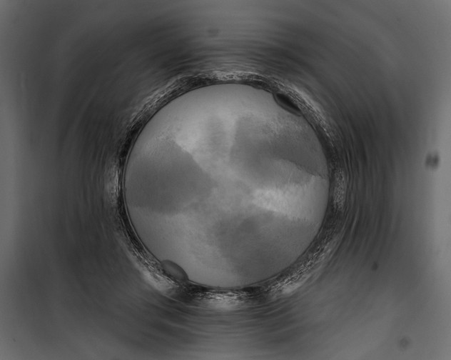 X0000100330405200806191113